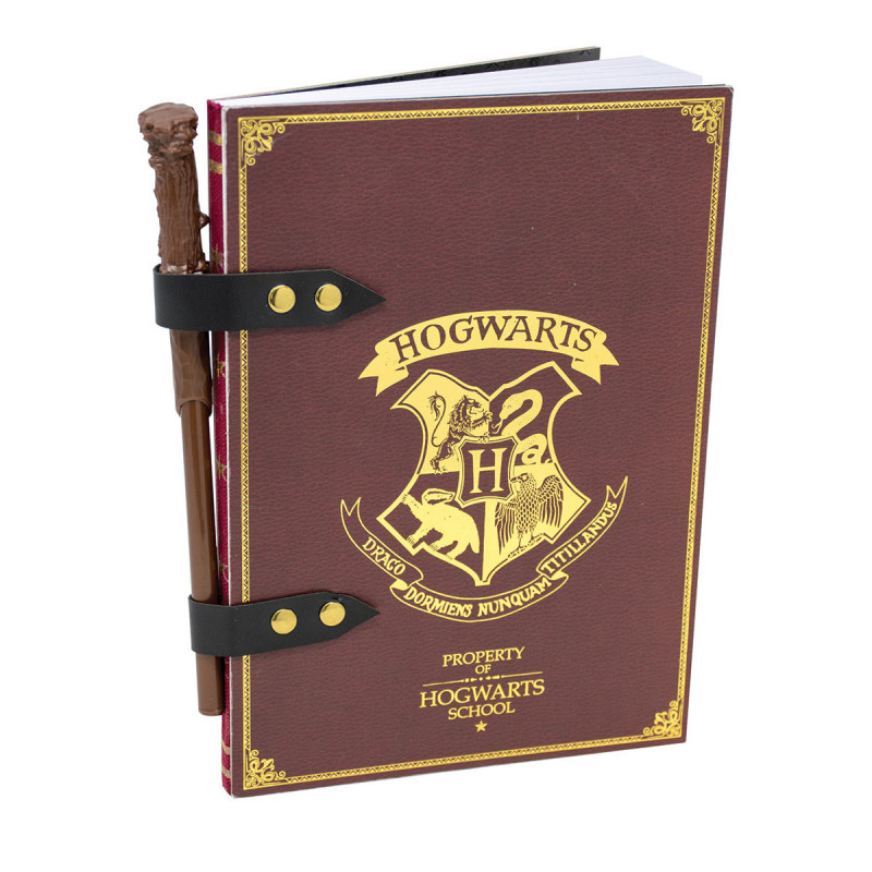 Set Stylo et Crayon Baguettes Magiques Harry Potter - Cadeaux