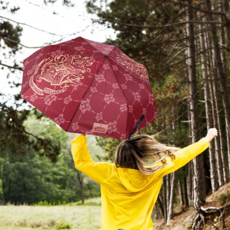 Achat Parapluie Harry Potter 48cm en gros